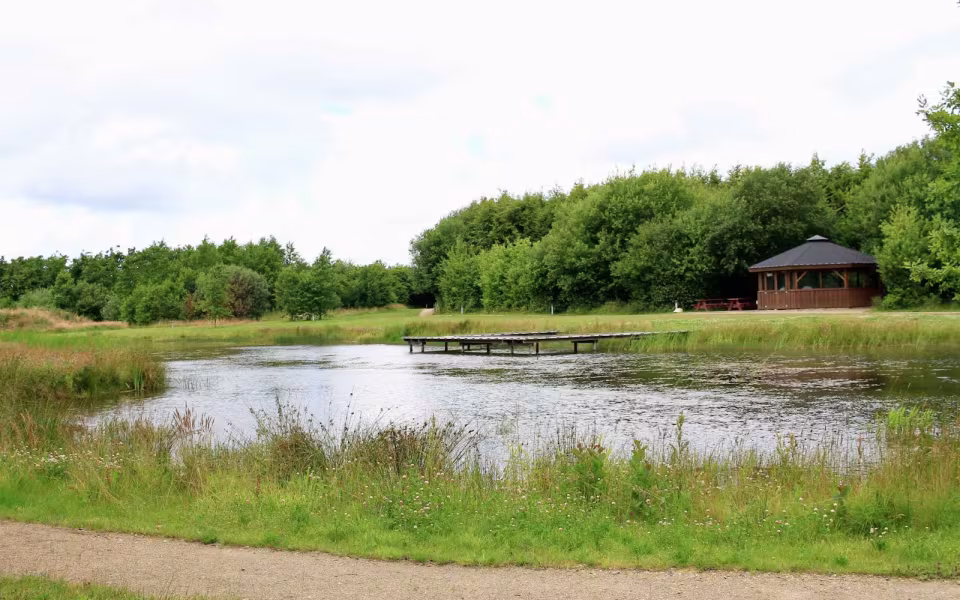 Hornes Vikingelund et paradis