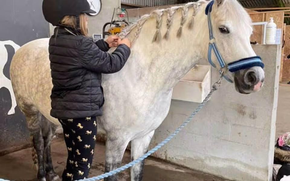 Ponyhygge i Rideklubben Ansager