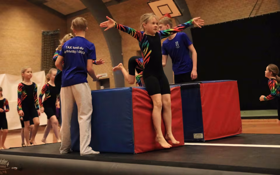 Stor succes ved DGI's opvisning