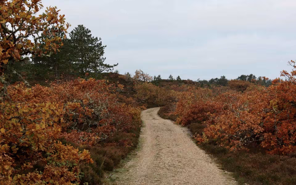 Find morgenroen på Gråmulebjerg
