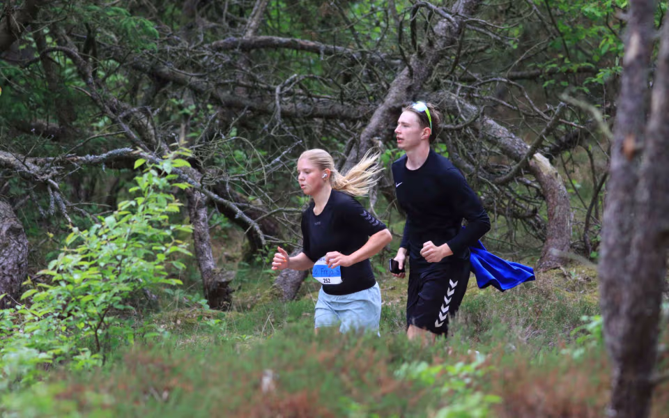 Motionsløb i Ho vokser