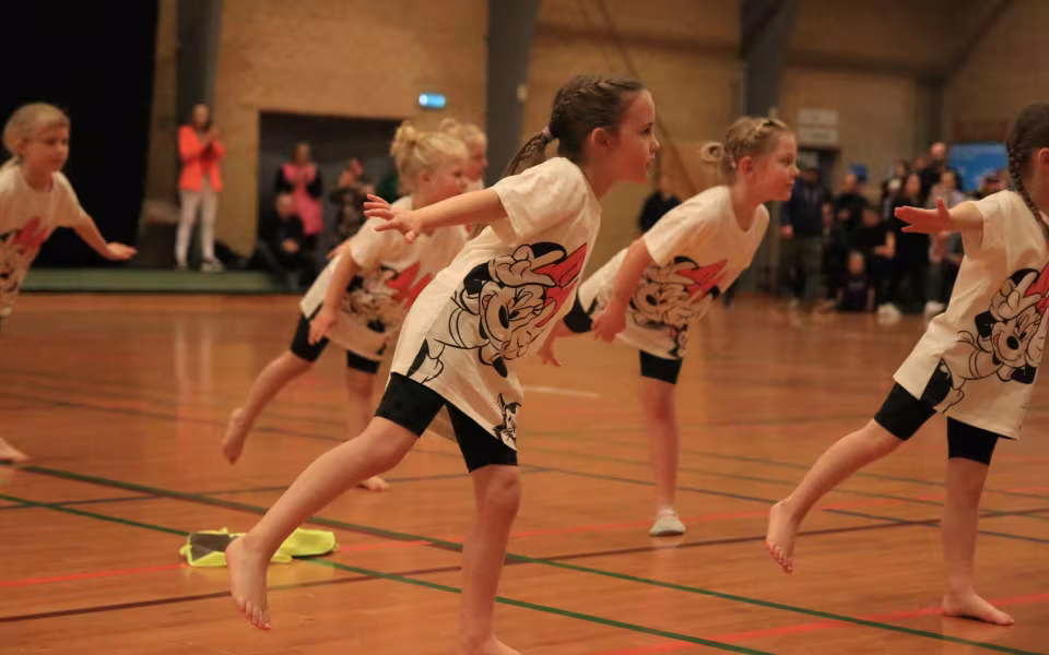 Stor succes ved DGI's opvisning