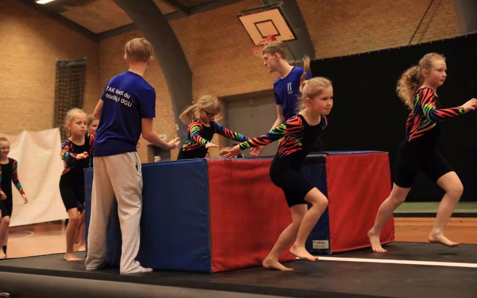 Stor succes ved DGI's opvisning