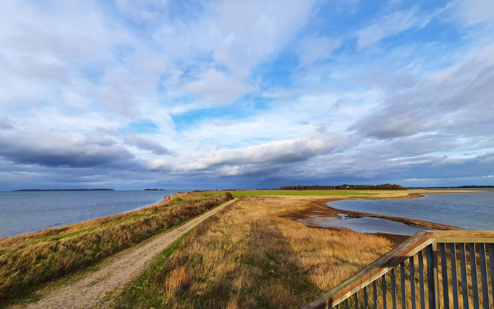 Sti langs vandet ved Gyldensteen Strand med rørskov og dramatisk skyhimmel