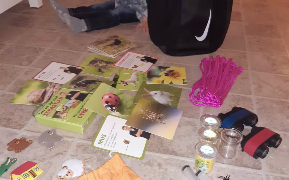 Kreativitet i naturen