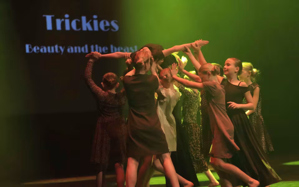 Dance Company Twenty Juleshow begejstrede 1200 publikummer