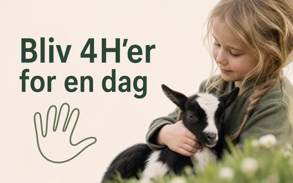 Bliv 4H’er for en dag