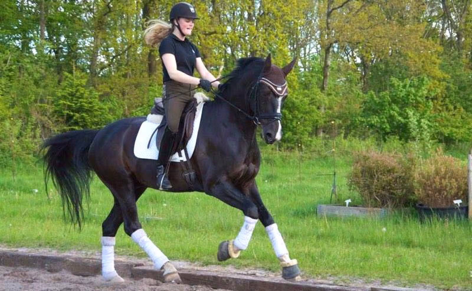 Nanna Hyldahl og Solar Eclipse er en af fire ekvipager, som Ansager Rideklub har med ved DM i dressur i Herning