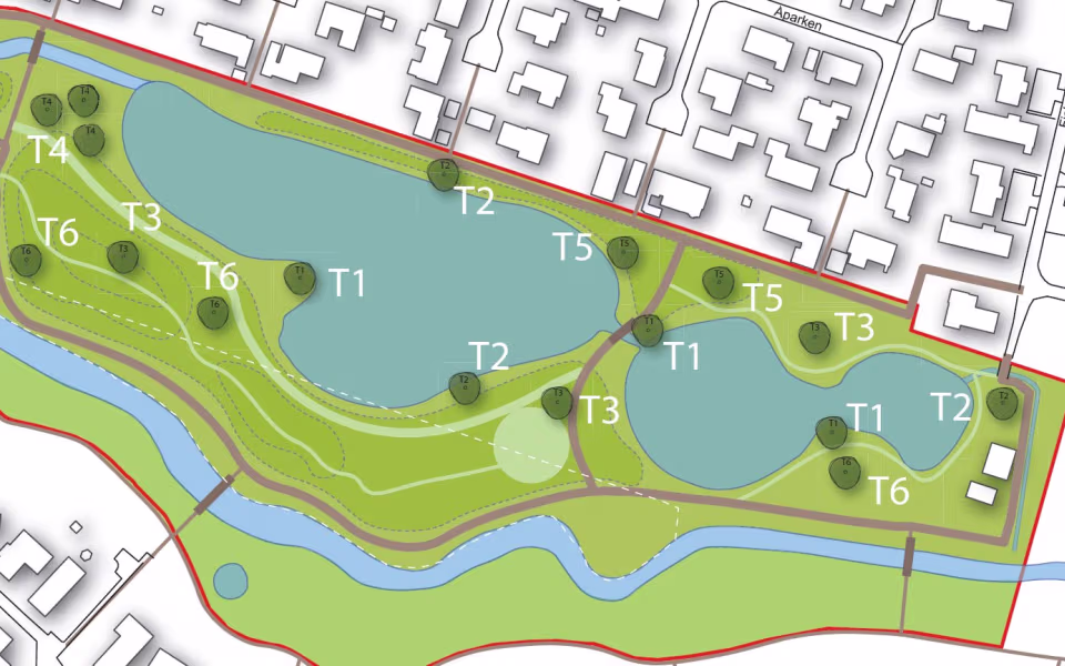 Træer plantet i Ansager Søpark