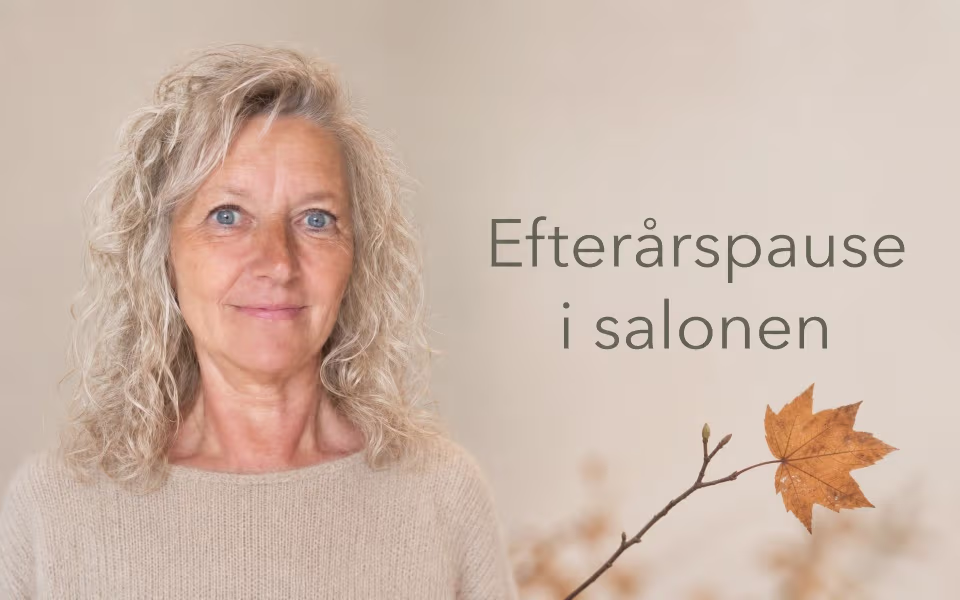 Efterårspause i salonen