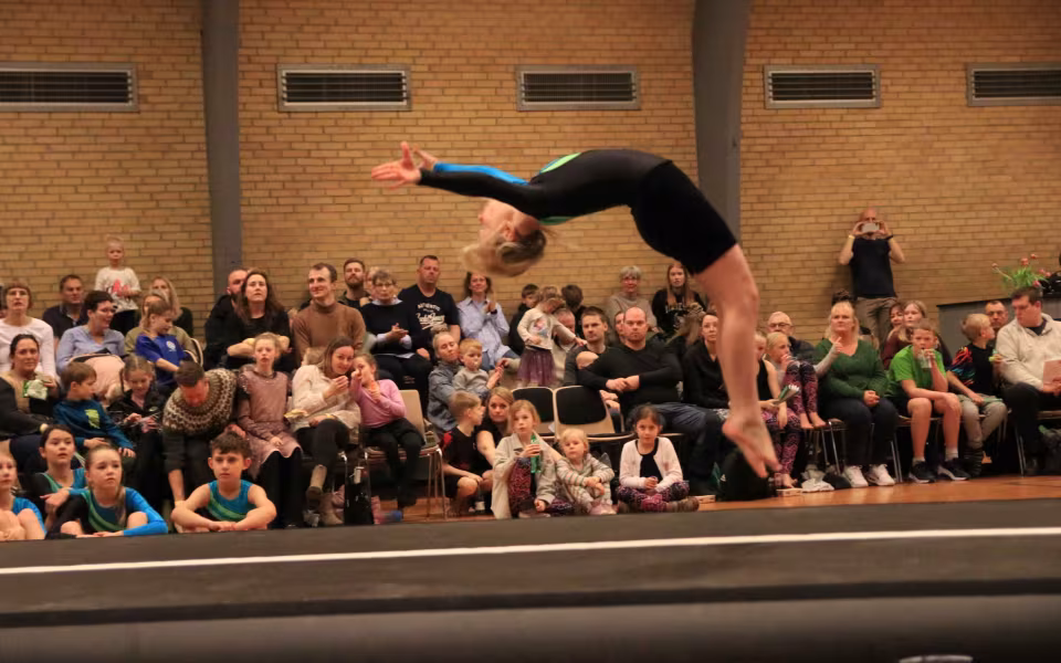 Stor succes ved DGI's opvisning