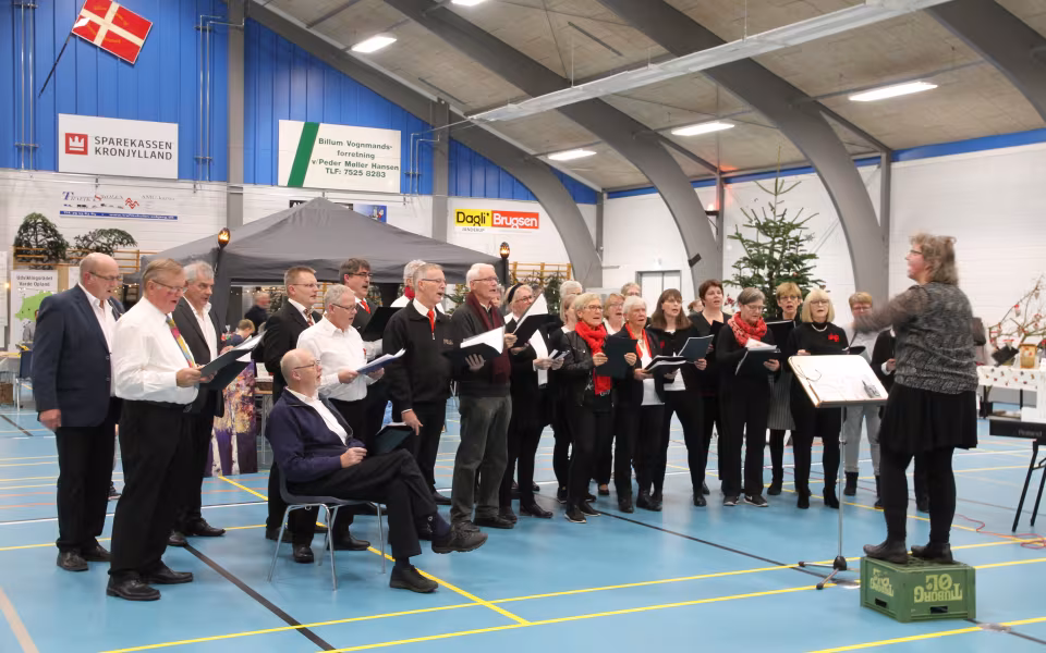 Billeder fra Jul i Billum