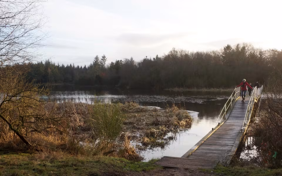 Nytårsgåtur rund om Karlsgårde Sø