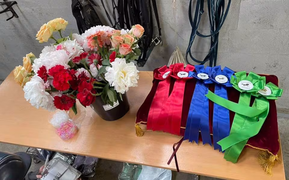 Ponyhygge i Rideklubben Ansager