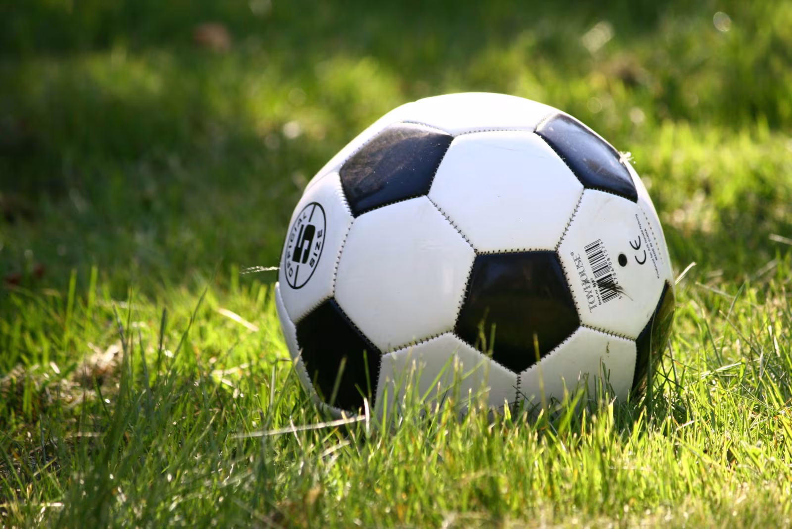 Fodboldopstart i Skovlund IF