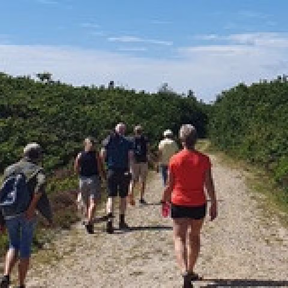 De tilsandede ege - Vild vestjysk natur