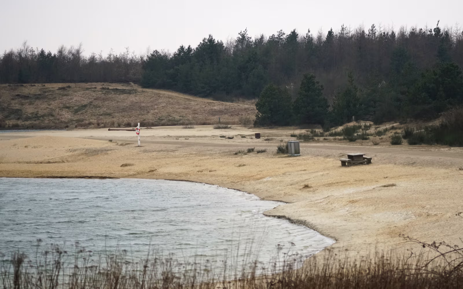 Sandstrand med redningskrans ved Nysø Badesø foran skovklædt skrænt