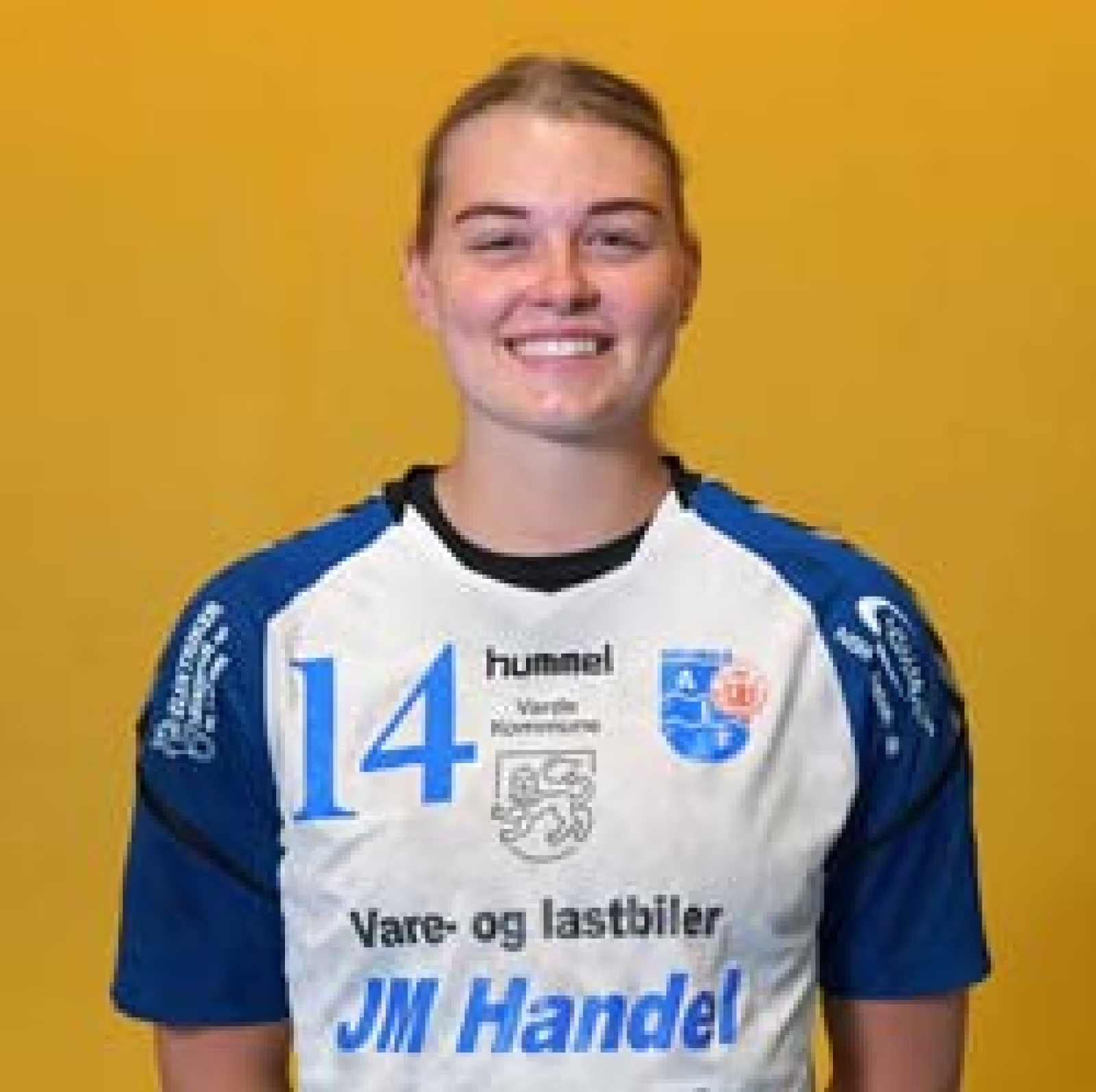 SIF-Ansager stod med en chance for en god slutspurt, idet de manglede at spille mod de 3 bundhold, da Coronaen meldte sig på banen