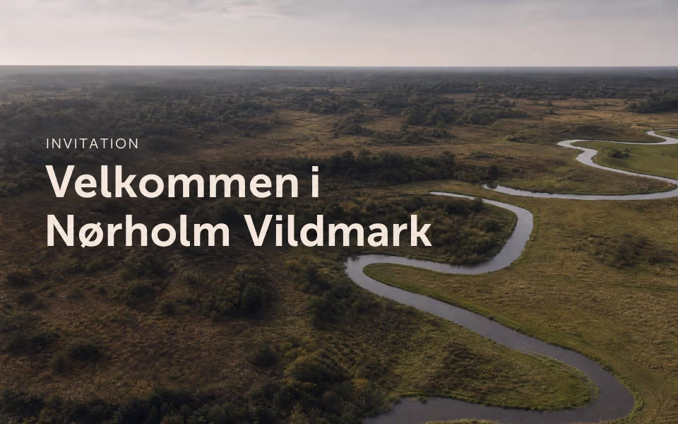 Invitation - velkommen i Nørholm Vildmark