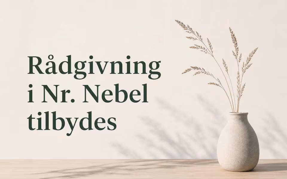 Rådgivning i Nr. Nebel tilbydes