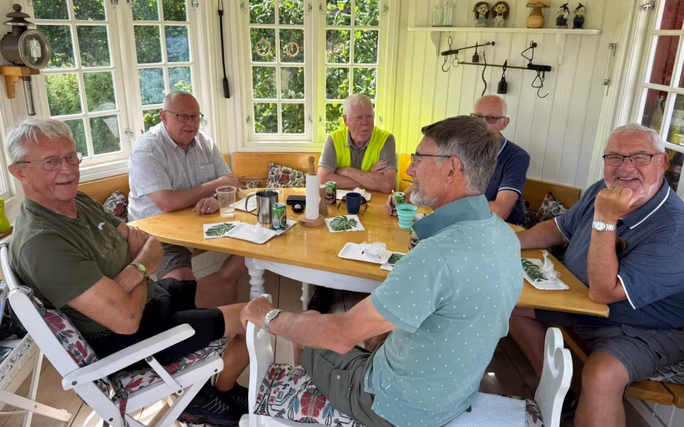 Midsommerstemning i haven