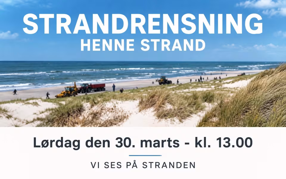 Strandrensning Henne Strand