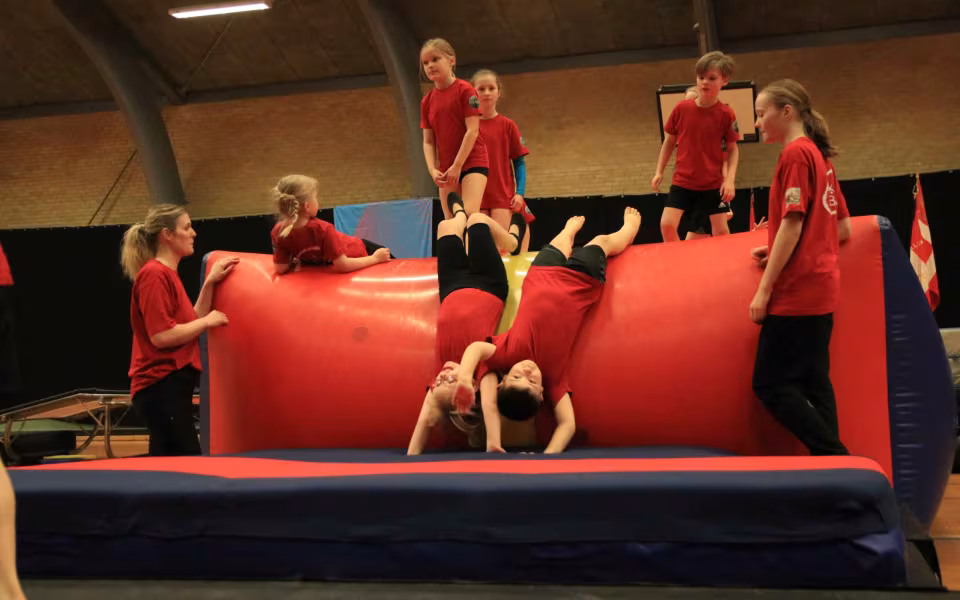 Stor succes ved DGI's opvisning