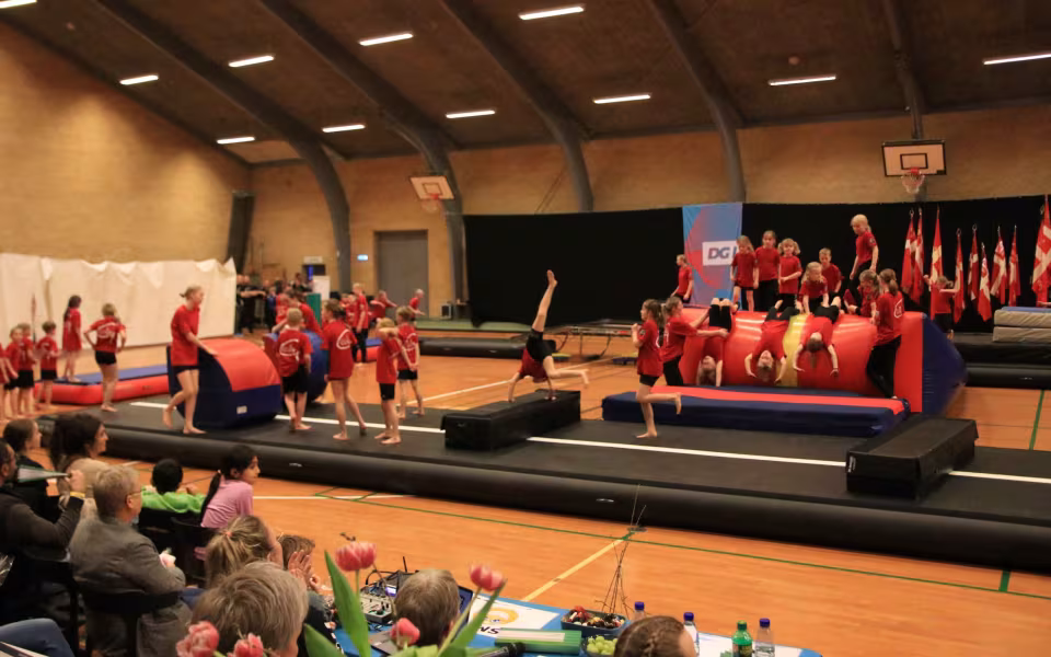 Stor succes ved DGI's opvisning