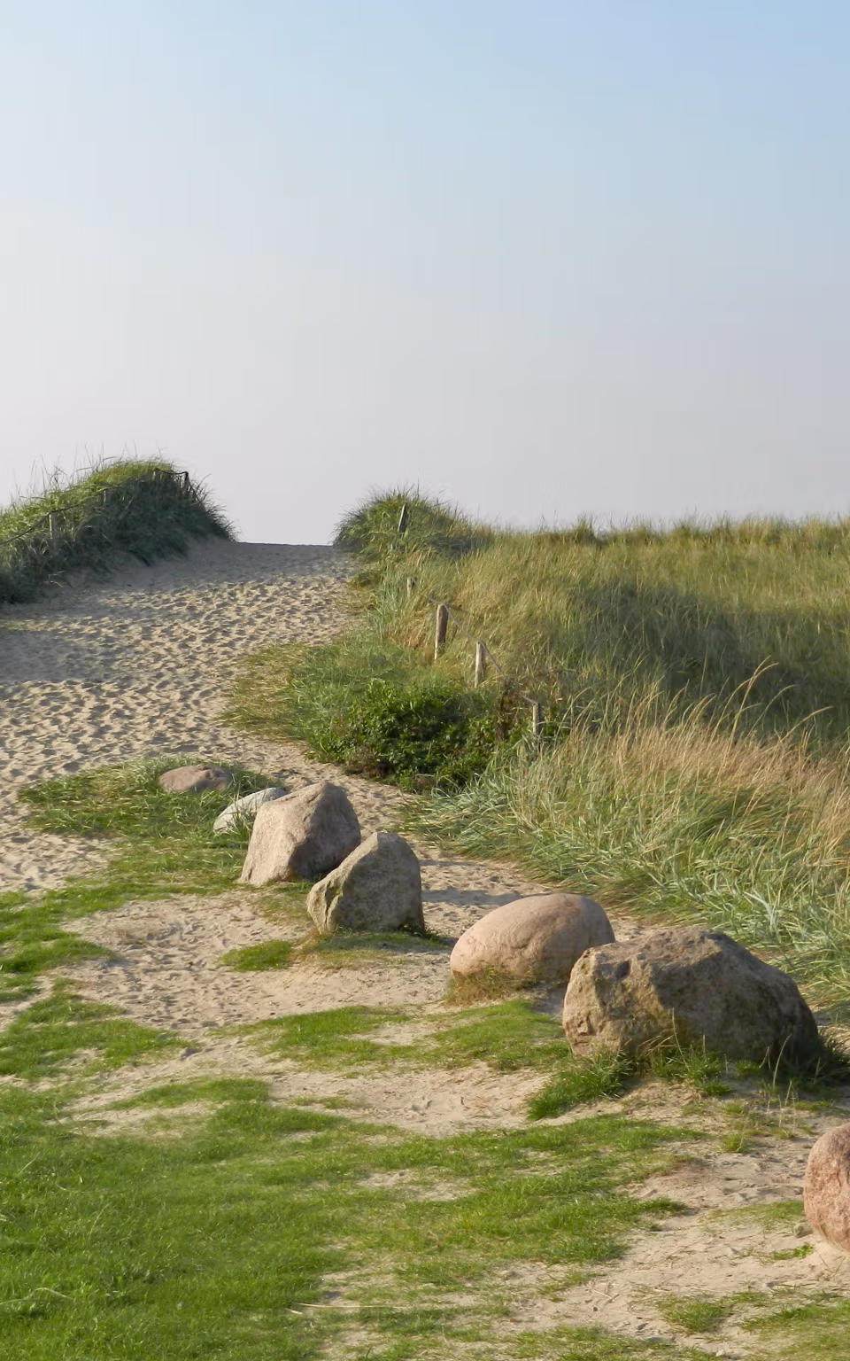 Sandsti gennem grønne klitter ved Blåvand under blå himmel