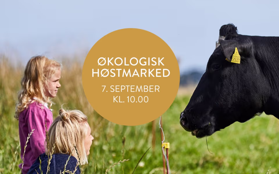Økologisk høstmarked