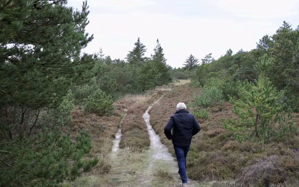 På vandring gennem sandets historie