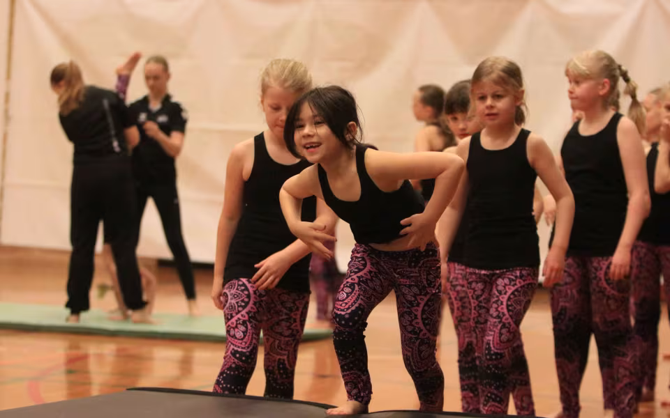 Stor succes ved DGI's opvisning
