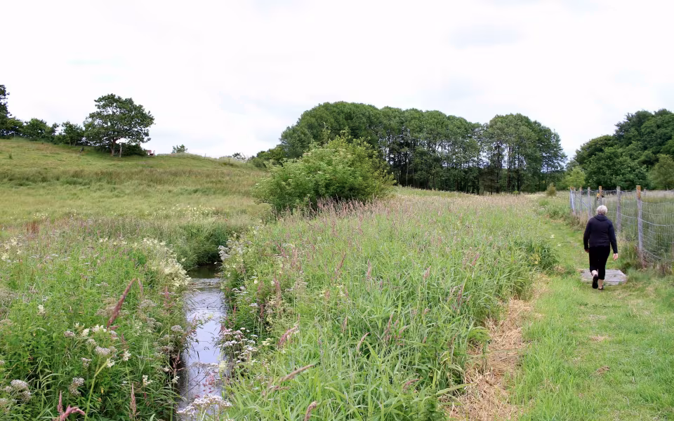 Hornes Vikingelund et paradis