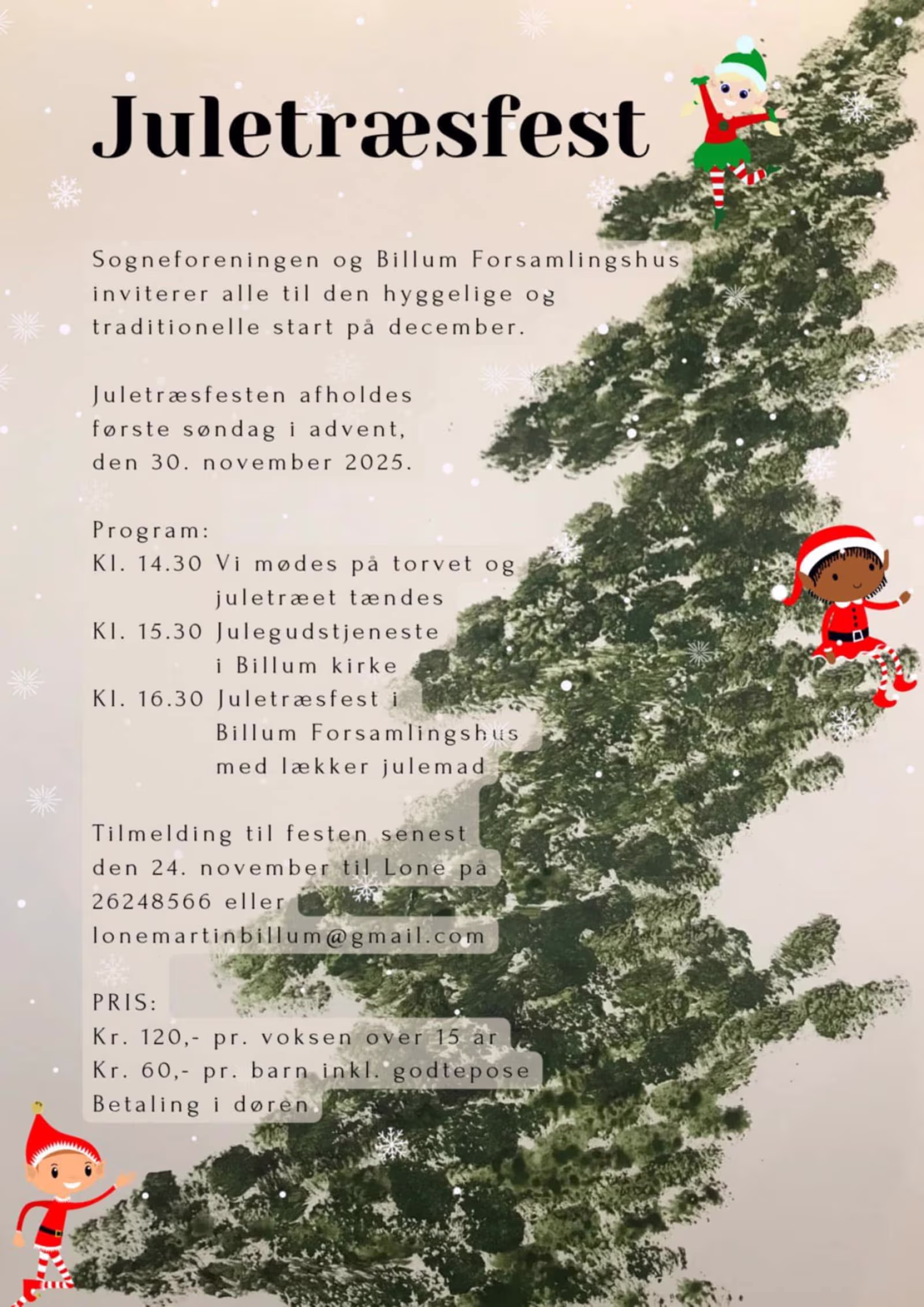 Den årlige Juletræsfest i forsamlingshuset