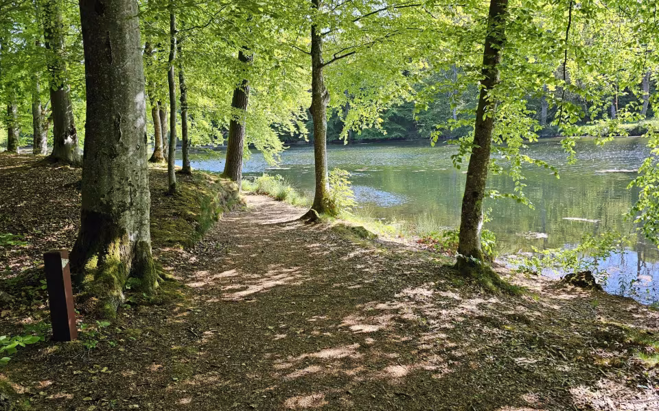Billeder ved Letbæk, Varde Å ved Hodde.