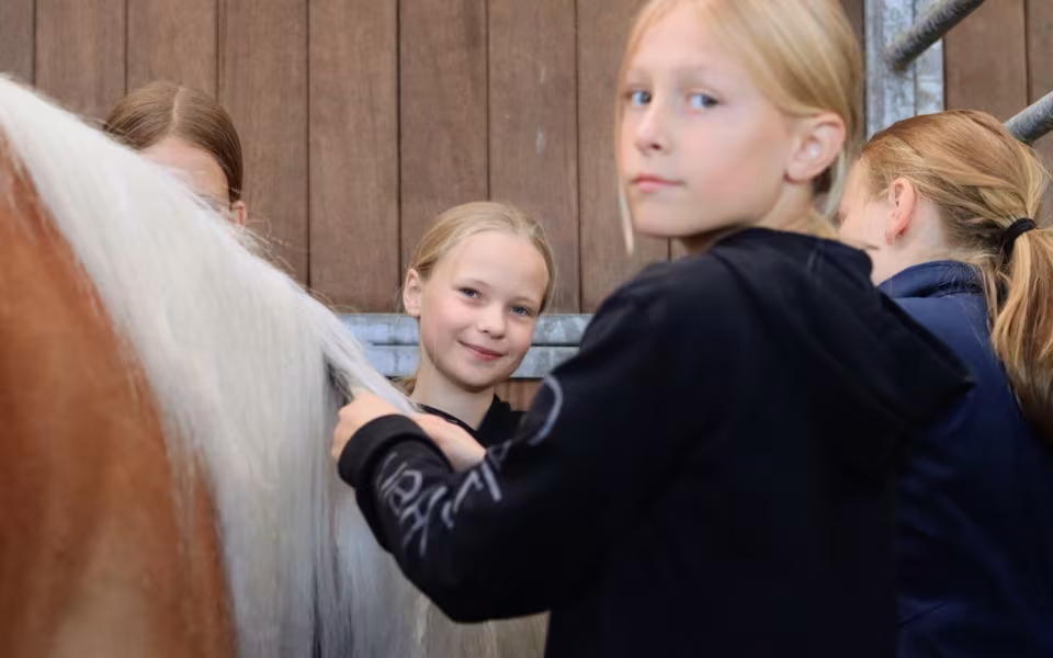 100 års fejring med 4H Børnedyrskue