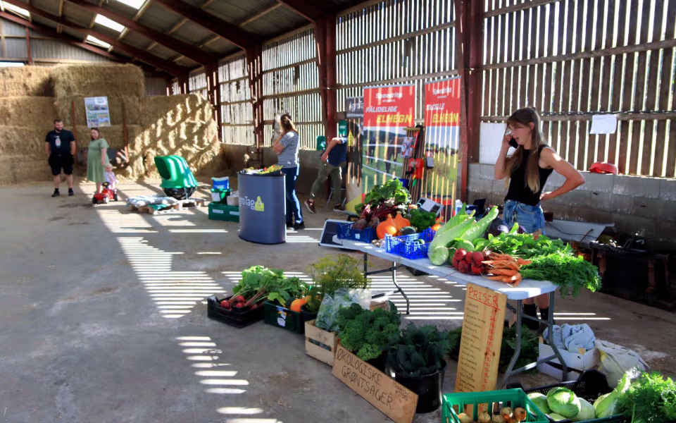 Stor succes for øko-høstmarked