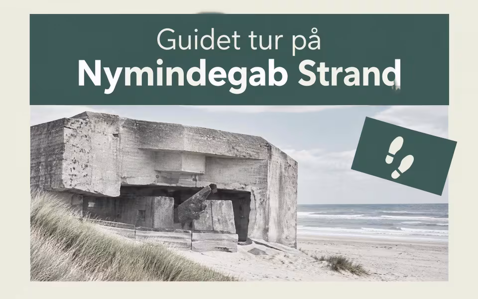 Guidet tur på Nymindegab Strand