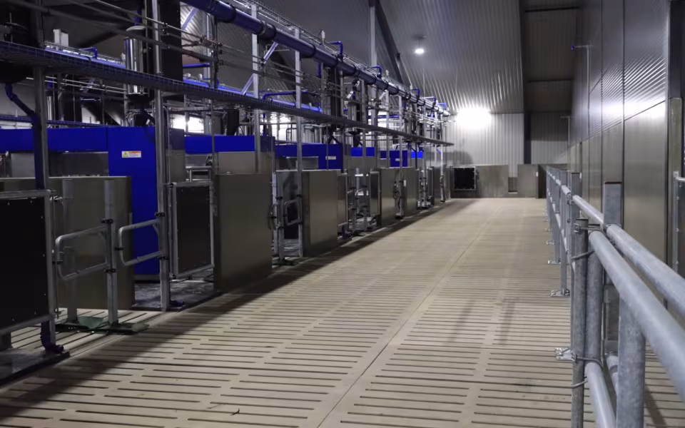 Nyt staldanlæg hos Højrupgaard Agro tages i brug