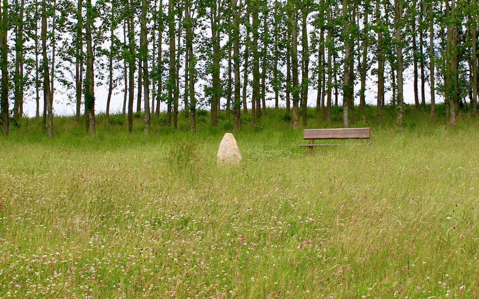 Hornes Vikingelund et paradis