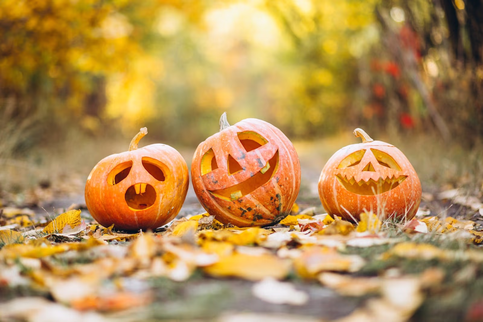 30 okt: Halloweenfest