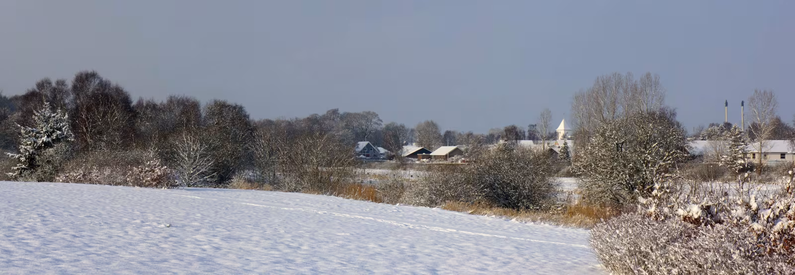 Snevejr 14. januar 2013