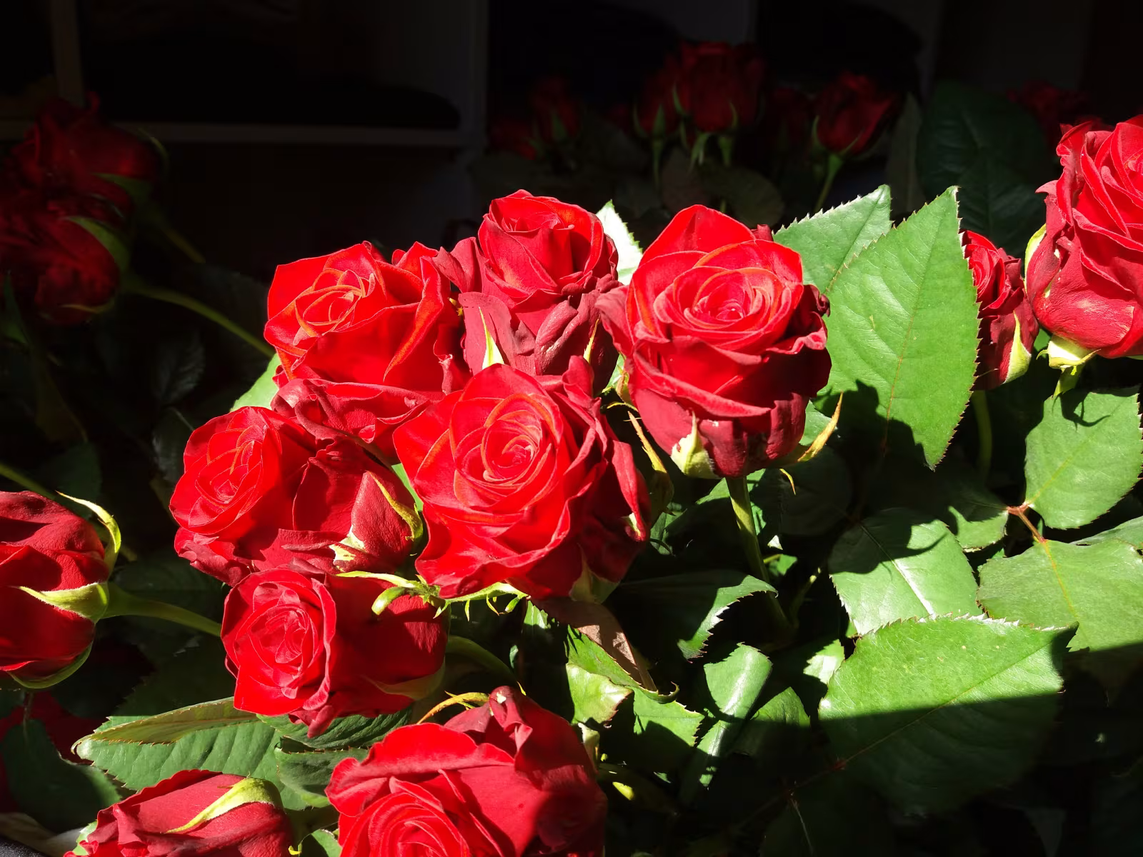 Forretningsoverdragelse af Blomsten Skovlund