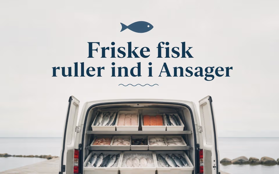Friske fisk ruller ind i Ansager