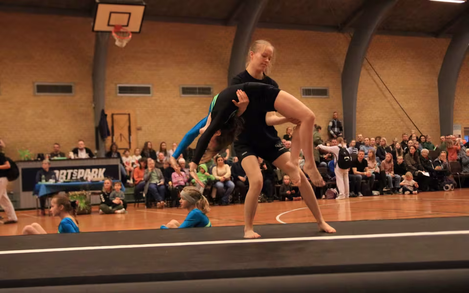 Stor succes ved DGI's opvisning