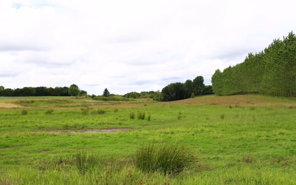Hornes Vikingelund et paradis