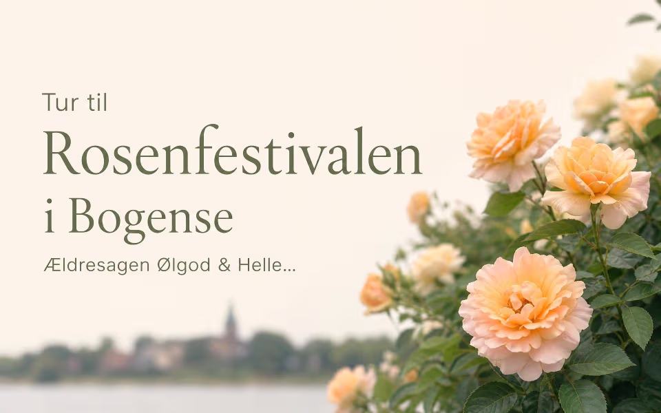Tur til Rosenfestivalen i Bogense Ældresagen Ølgod & Helle...