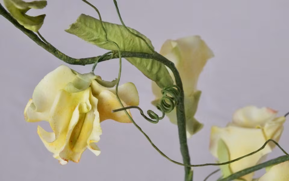 Nyt kursustilbud i Skovlund