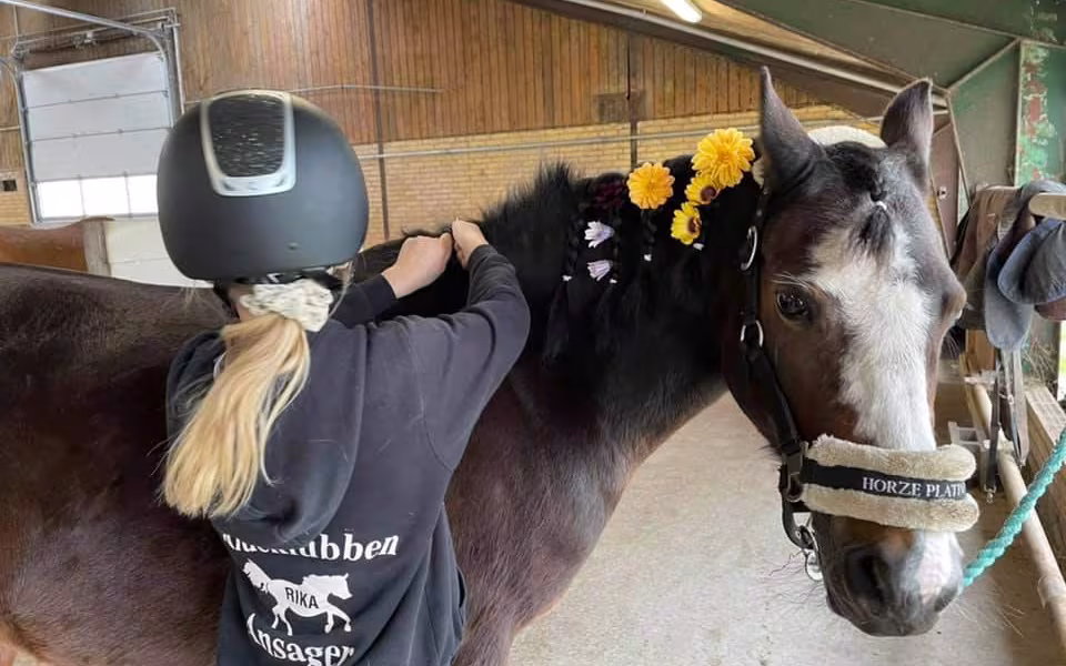 Ponyhygge i Rideklubben Ansager