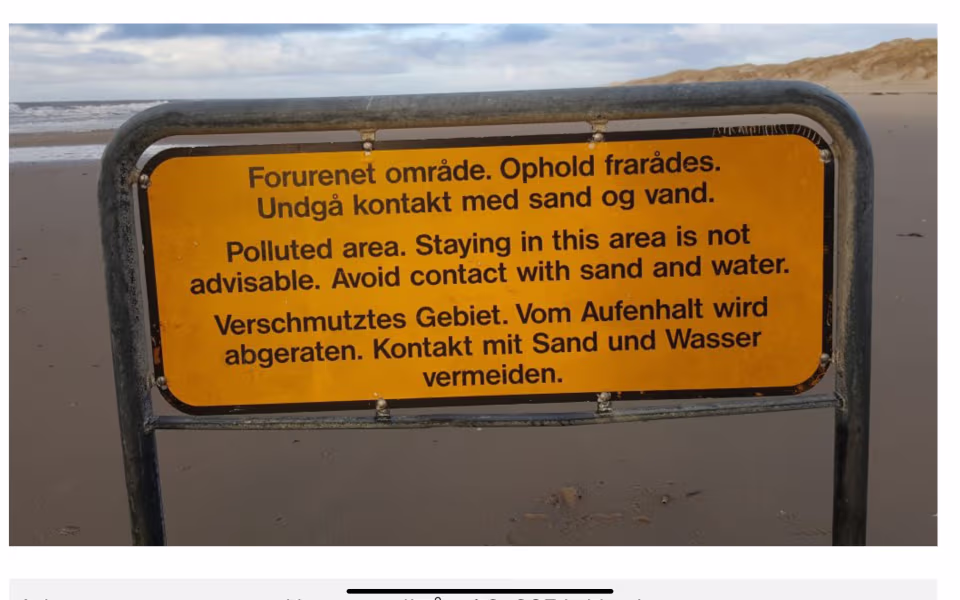 Vandretur i forurenet klitlandskab